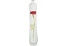 Carnation Vase