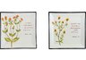 Flower Grace Scripture Plates - Set of Two