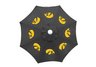 Iowa Umbrella