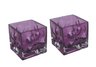 Set of 2 Daisy Hurricane Glasses - Purple