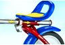 Radio Flyer Grow N Go Bike