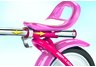 Radio Flyer Girls Grow N Go Bike