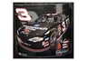 dale earnhardt sr fleece blanket