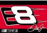Dale Jr. Rug
