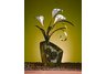 Figurine Fan - Cala Lilies