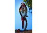 Figurine Fan - Parrot - Color