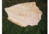 Stone