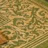 emerald area rug option