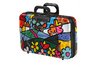 Britto Esleeve Landscape/Flowers