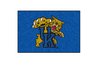 University of Kentucky Starter Rug