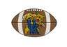 University of Kentucky Football Rug