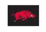 University of Arkansas Starter Rug