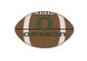 University of Oregon Football Rug