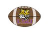 Louisiana State University Football Rug