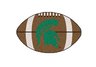 Michigan State University Football Rug
