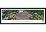 Unviersity of Florida Gators Stadium Print