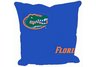 Florida Decorative Pillow