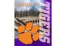 Clemson Tigers Building Design Wall Hanging