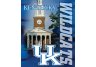 Kentucky Wildcats Building Design Wall Hanging