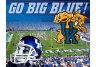 Kentucky Wildcats Stadium Design Wall Hanging