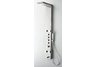 Fresca Verona Stainless Steel (Brushed Silver) Thermostatic Shower Massage Panel