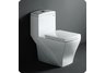 Fresca Salerno One-Piece Dual Flush Square Toilet