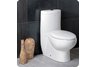 Fresca Delphinus One-Piece Dual Flush Toilet w/ Soft Close Seat