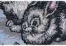 16 x 16 Designer Fuzzy Bunny Pillow Detail