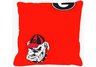 Georgia Decorative Pillow