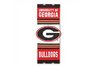 georgia-bulldogs-door-flag