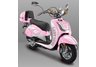 Georgia Lady Dog Crossrunner Scooter