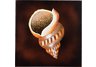 Tibia Wall Art