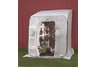 Greenhouse