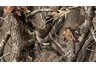 realtree hardwoods camo
