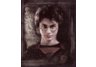 Harry Potter blanket