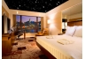 Stars From Mars - Fiber Optic Star Ceiling