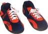 Illinois Fighting Illini All Around 2X