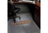 Illinois Carpet Foldable