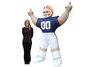 Illinois Tiny Inflatable