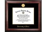 Iowa Hawkeyes Gold Embossed Diploma Frame