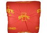 Iowa State Floor Pillow