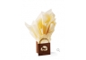 equestrian gifts