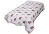 Kansas  White Comforter Full
