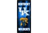Kentucky Wildcats Photoramic Logo Vertical Wall Hanging