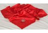 Maryland Terrapins Baby Blanket