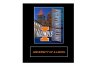 Illinois Fighting Illini Framed Wall Hanging