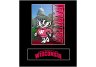 Wisconsin Badgers Framed Wall Hanging