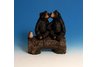 Welcome Black Bears on Branch