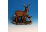 Deer Duo on Rock