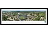 Michigan State Univeristy Stadium Print